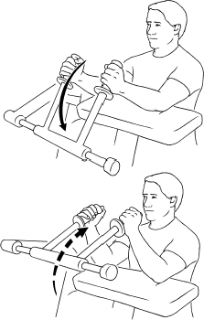 Eccentric tricep online exercises